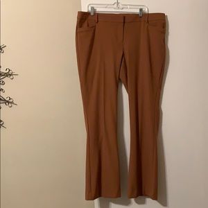 Express Columnist Dress Pants